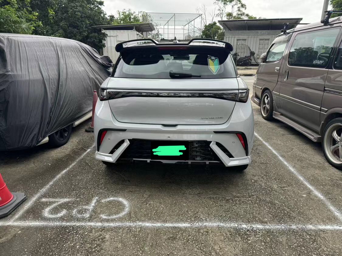 BYD DOLPHIN BODYKIT #2