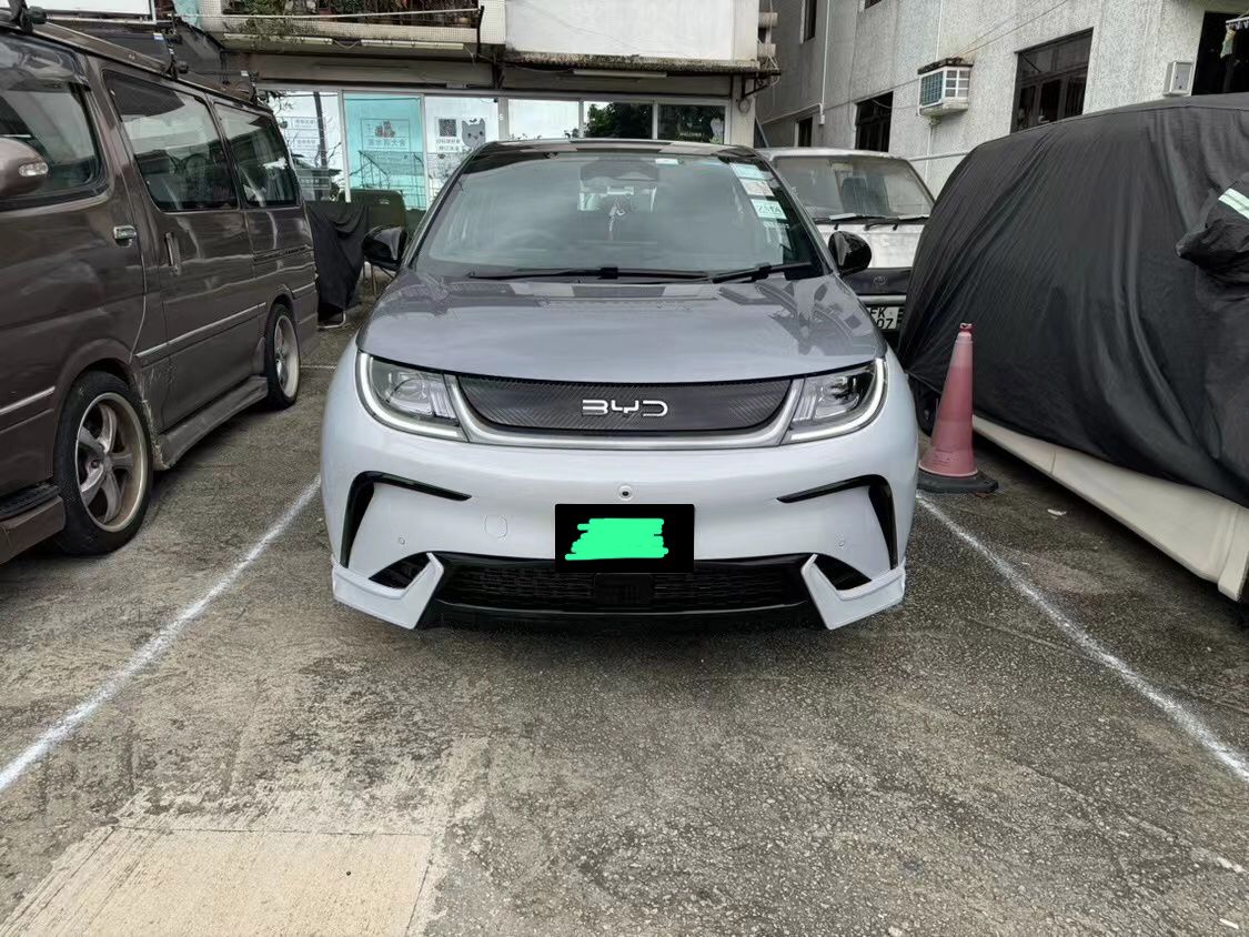 BYD DOLPHIN BODYKIT #2