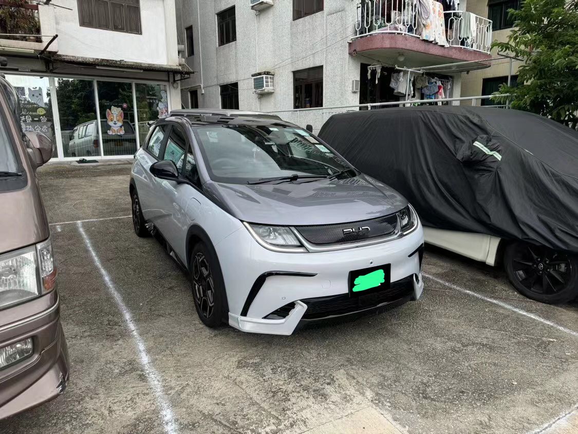 BYD DOLPHIN BODYKIT #2